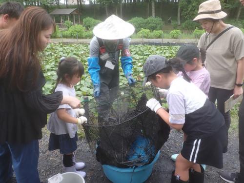 イベントでの罠の引き揚げ作業