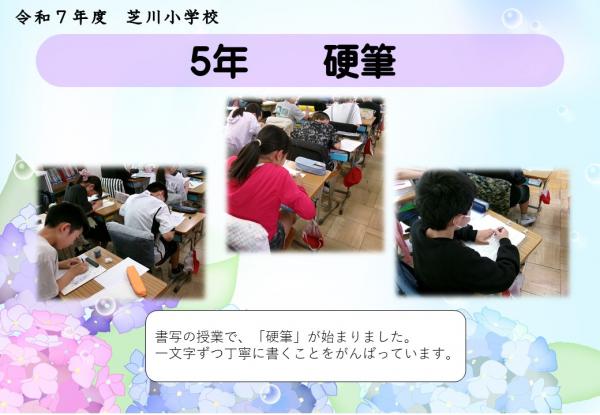 5年　硬筆