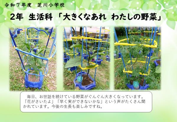 2年　生活科