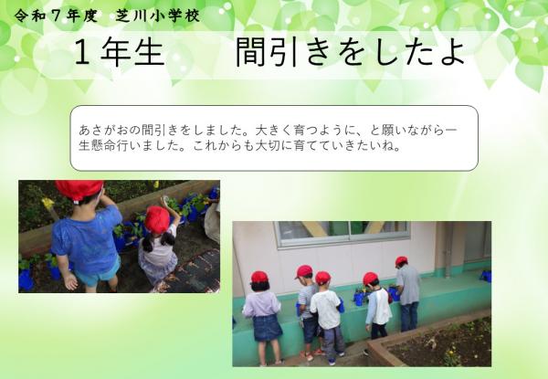 1年　生活科