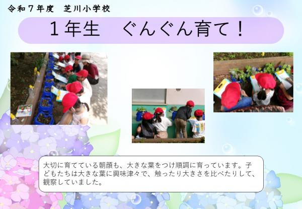 1年　生活科