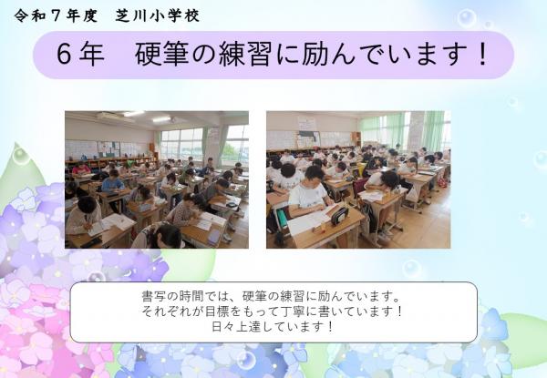6年　硬筆