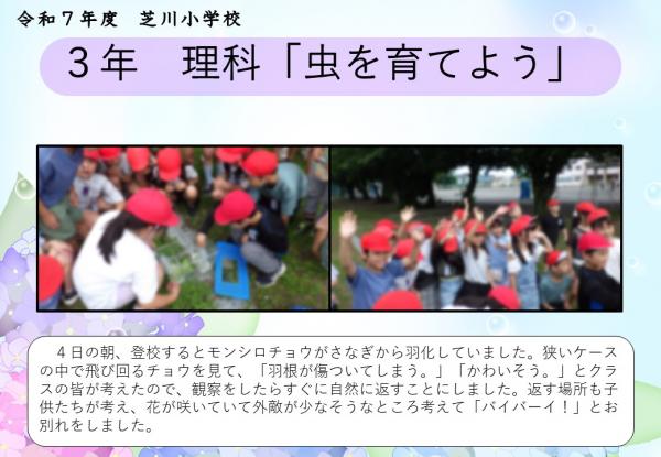 3年　理科