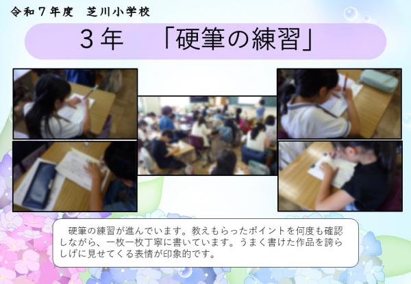 3年　硬筆