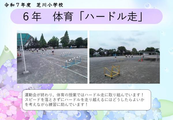 6年　体育