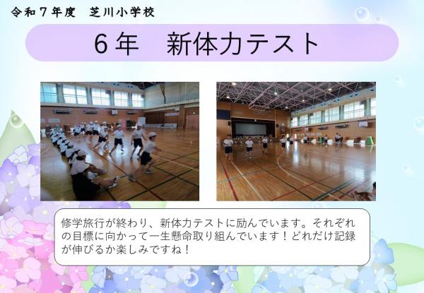 6年　新体力テスト