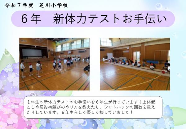 6年　新体力テスト