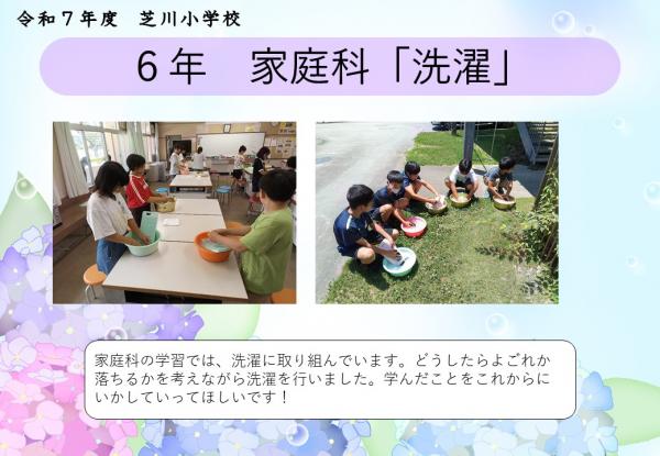 6年　家庭科