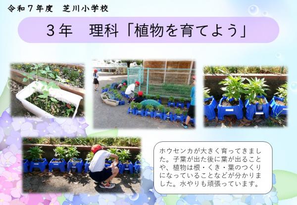 3年　理科