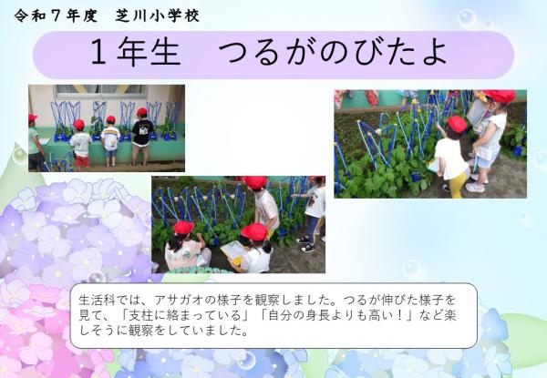1年　理科
