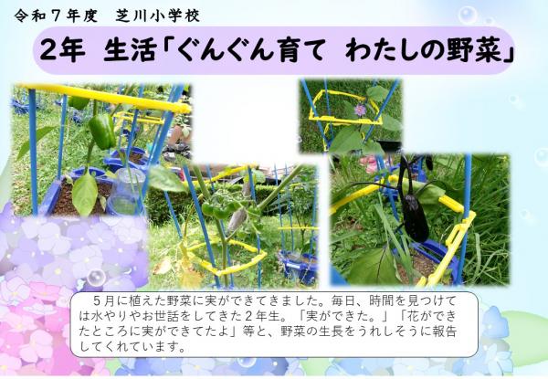 2年　生活