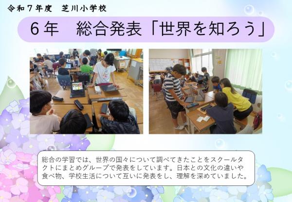 6年　総合