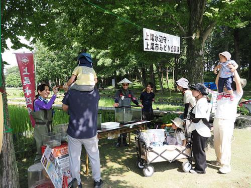 水槽展示の様子
