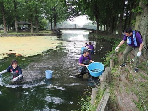 池に入ってワナを回収するサノフィの皆さん