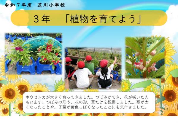 3年　理科