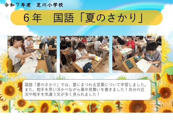 6年　国語