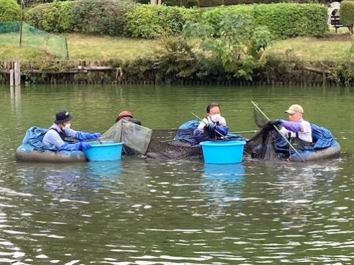 張網で水生生物の捕獲