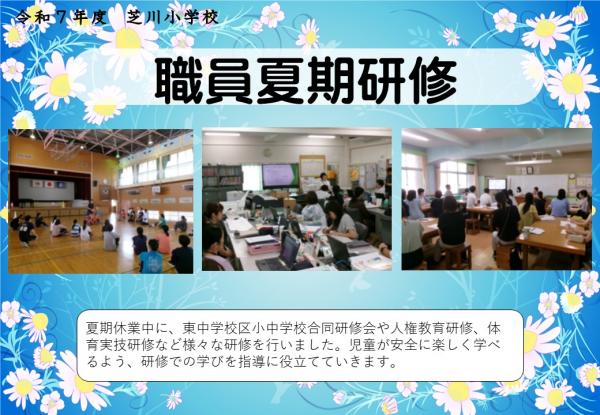 夏期研修