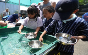 メダカすくい