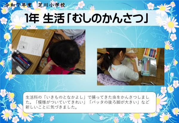 1年　生活