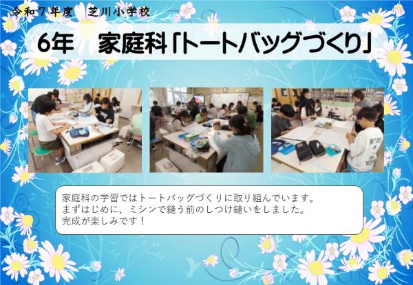 6年　家庭科