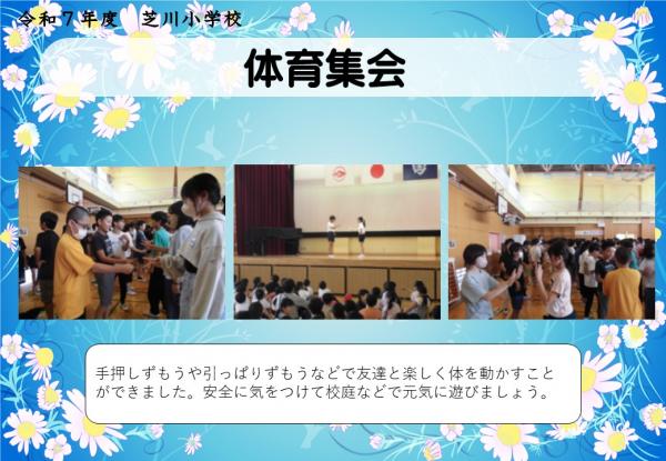 体育集会