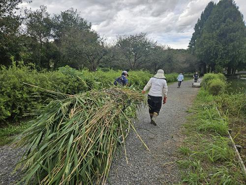 置き場まで運ぶのも一苦労な量です