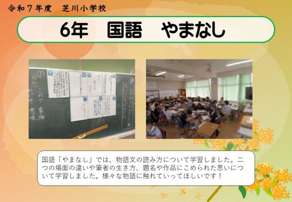 6年　国語