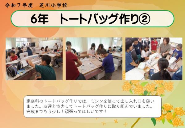 6年　家庭科