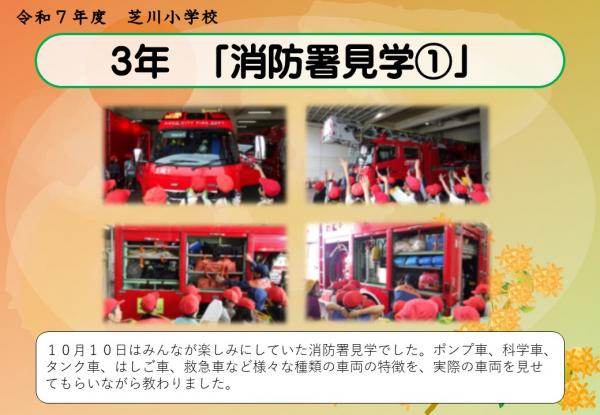 3年　見学