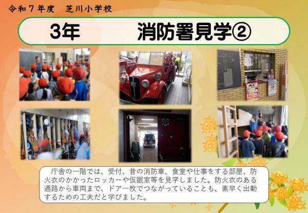 3年　見学