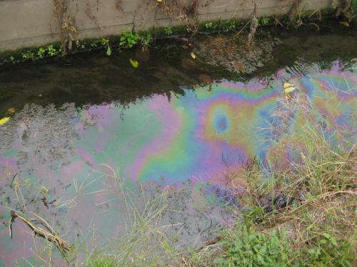 油が流出した河川の様子