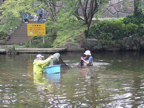 張網の回収作業