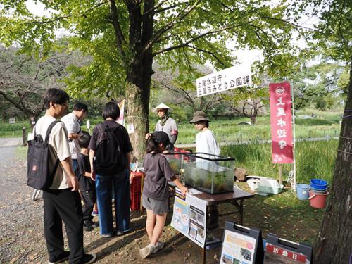 外来種問題の普及啓発