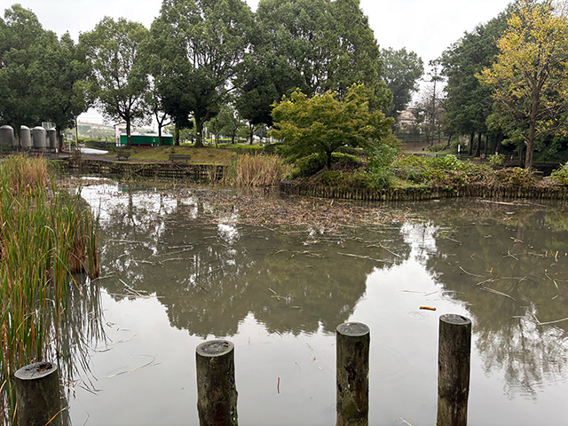 作業後のすっきりした湿地