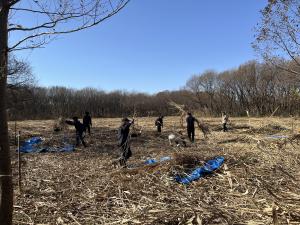 サラソウトラスト地管理作業