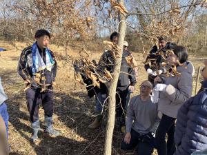 サラソウトラスト地管理作業