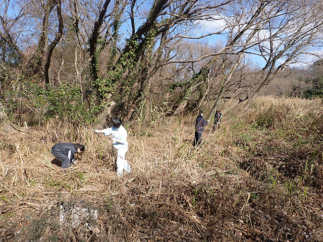 湿地の草刈り作業の様子