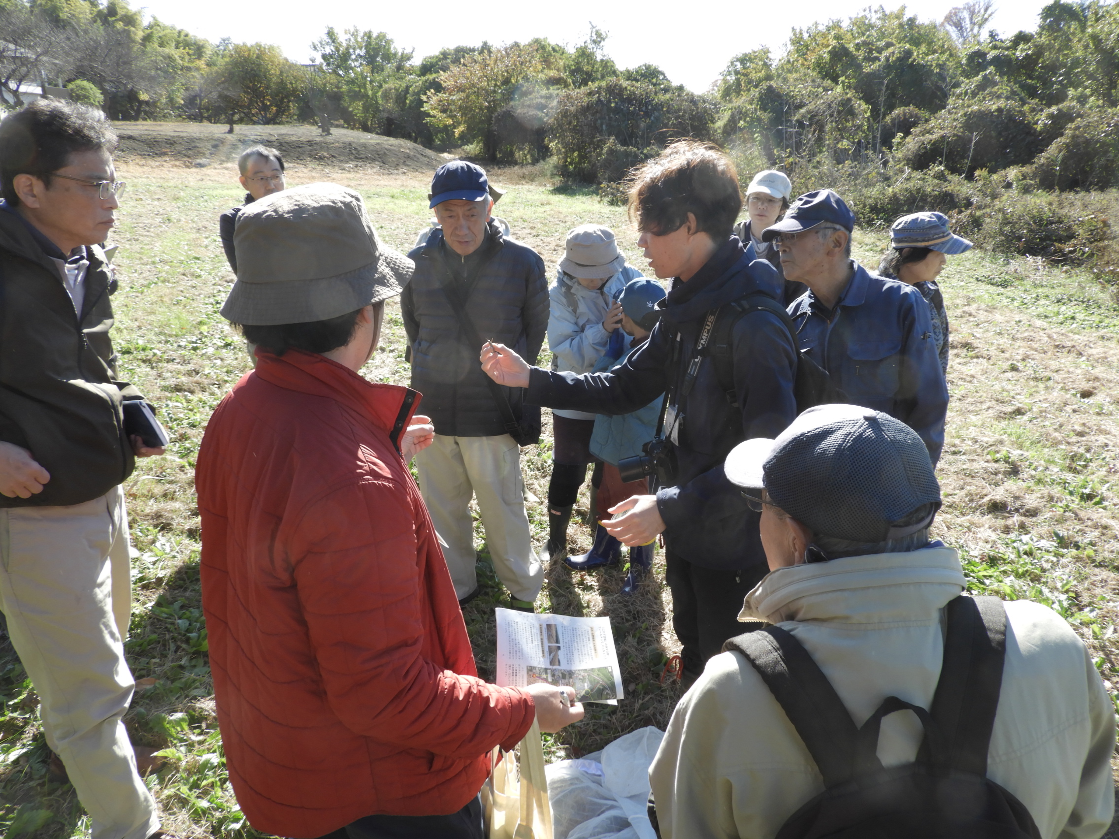 草地での昆虫観察