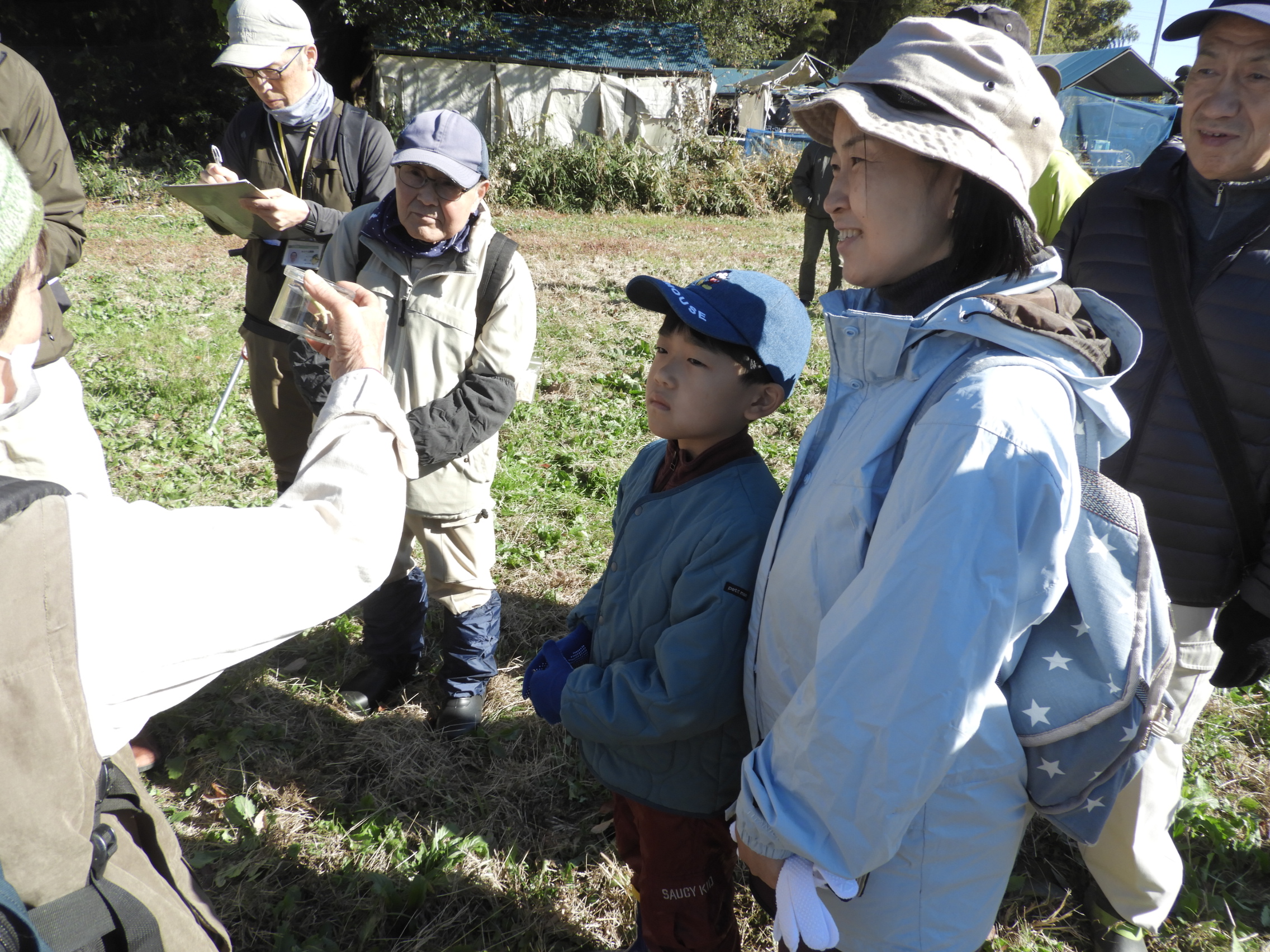 昆虫はクリアケースに入れて観察します