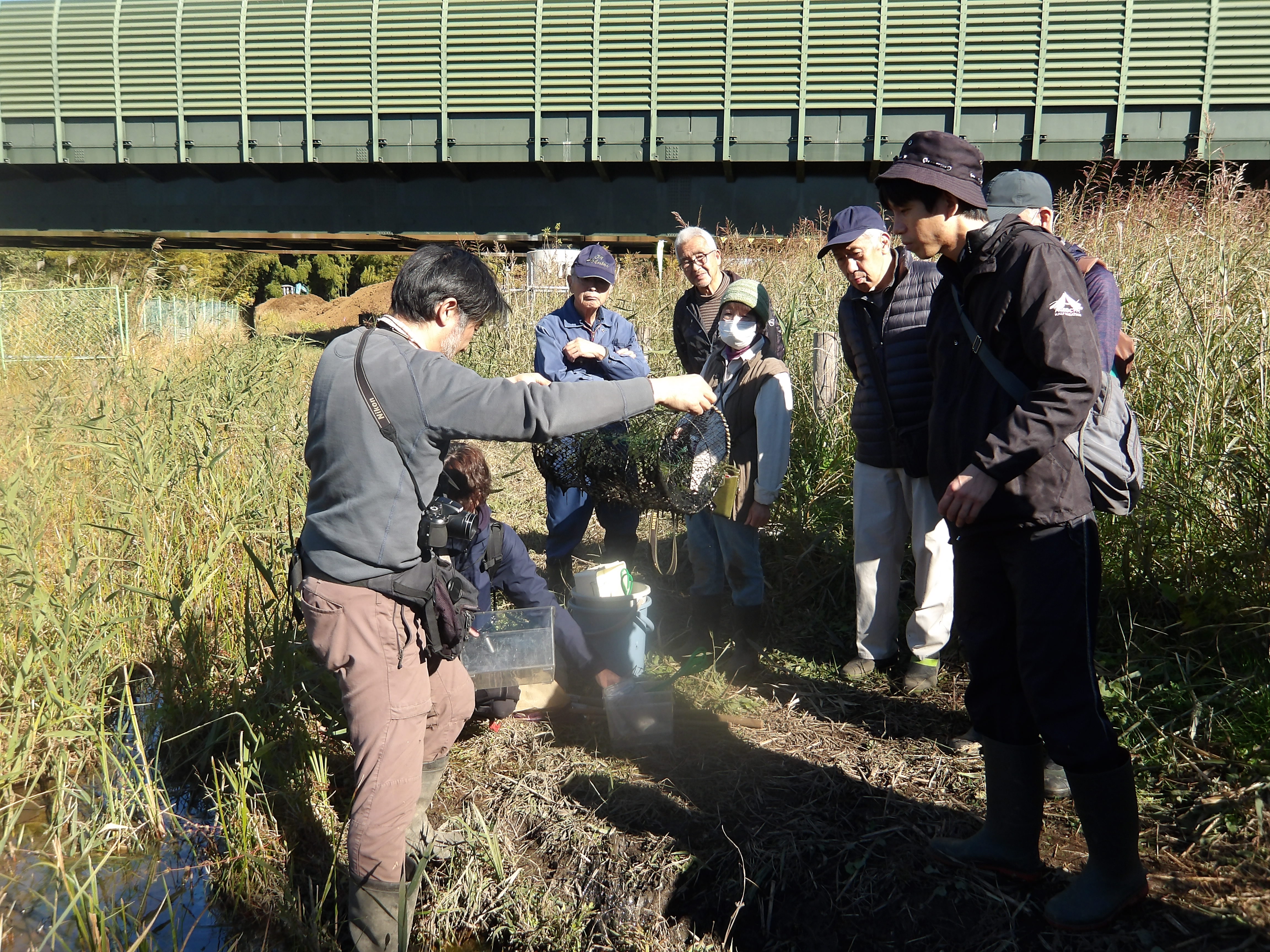 罠の引き上げの様子