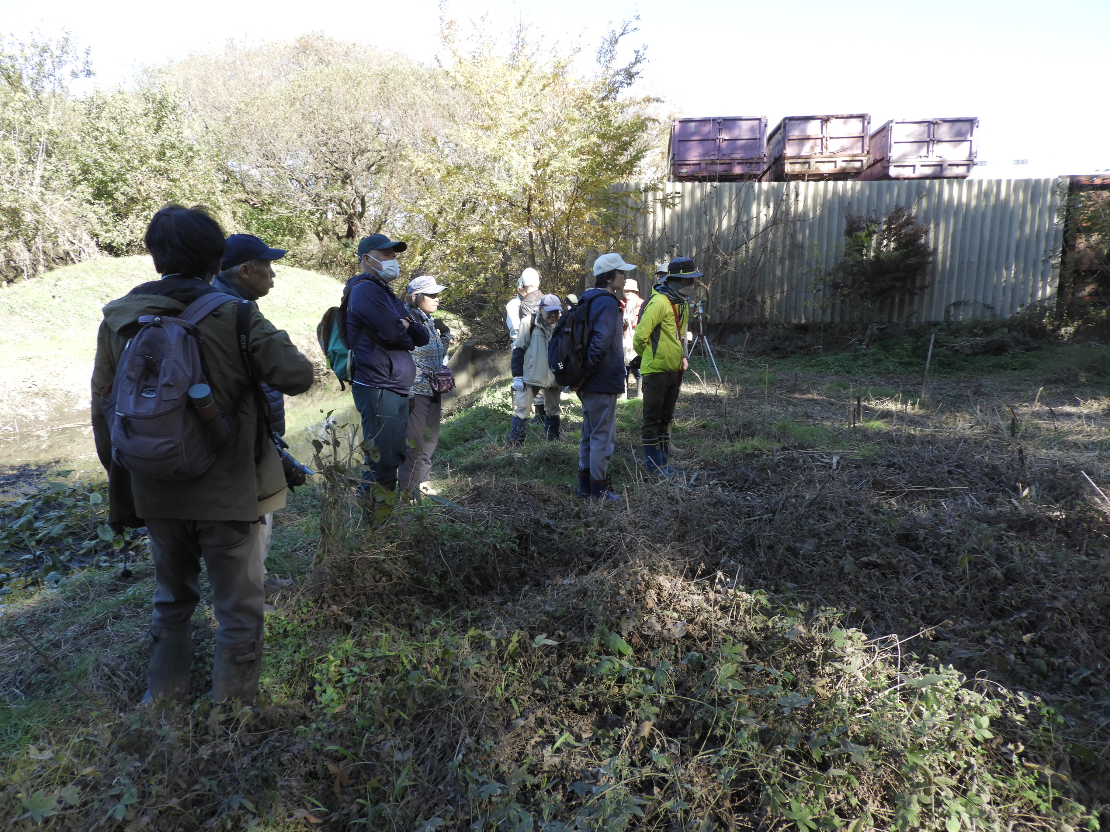 湿地の様子やサクラソウの移植場所を確認しました