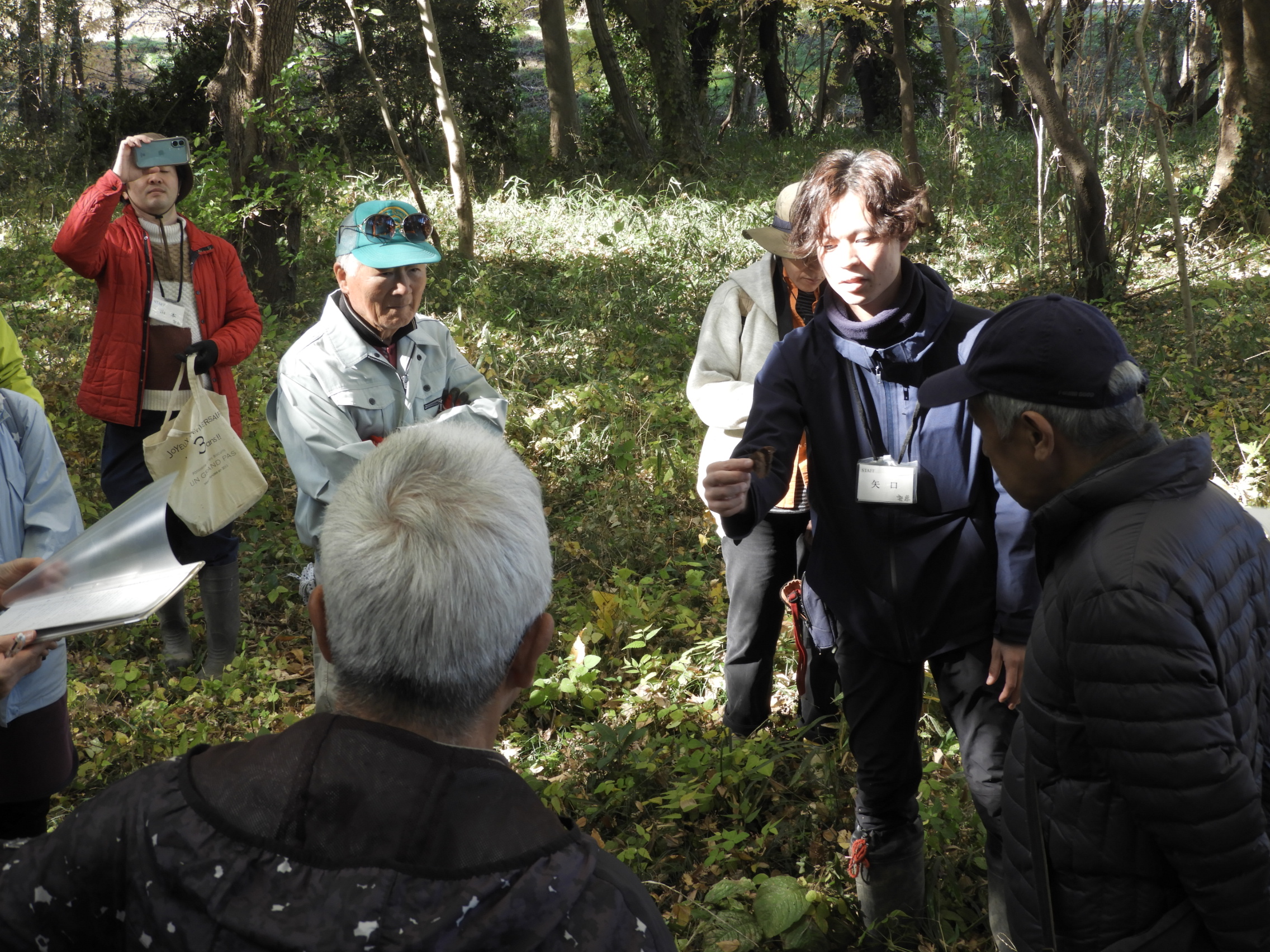 クロコマノチョウの観察の様子