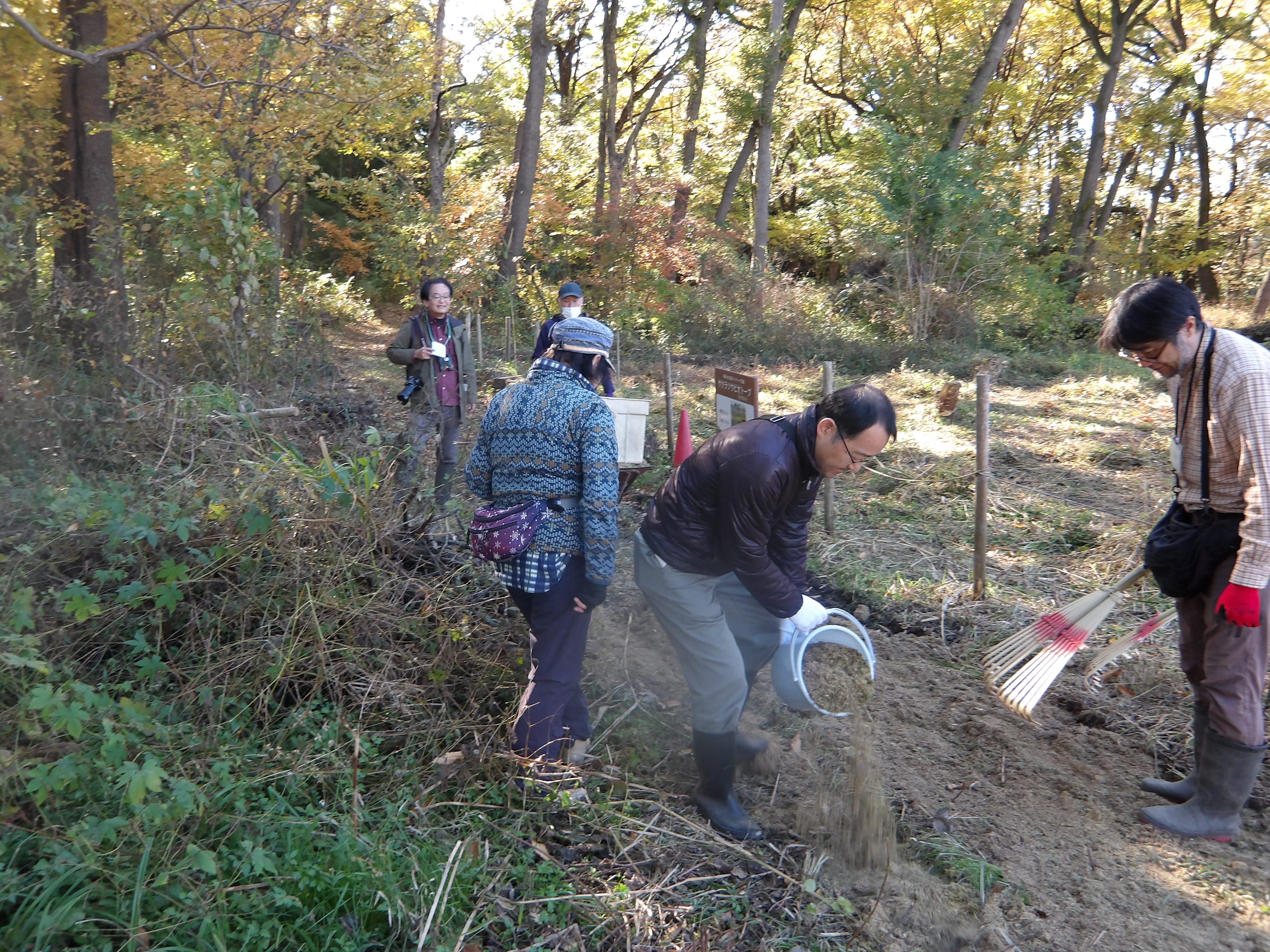 竹チップのまきだし