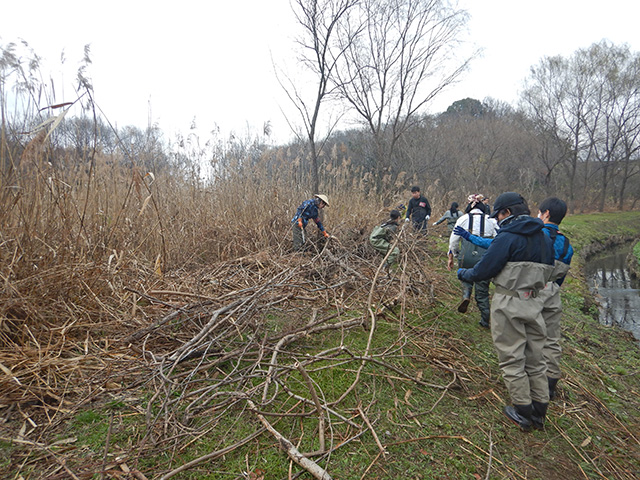 21日の木の運び出しの様子