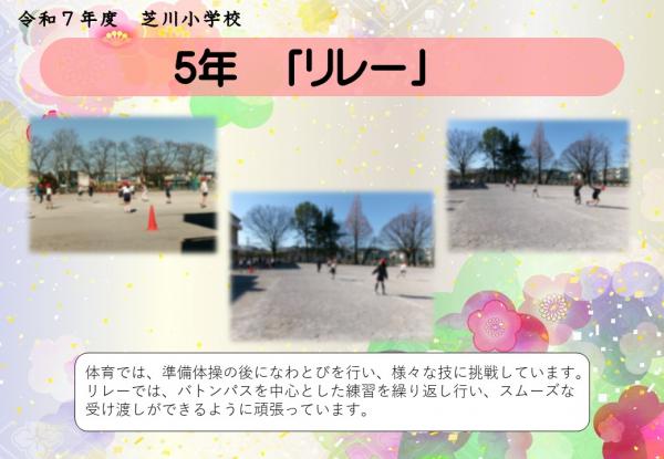 5年　体育