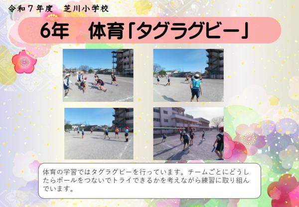 6年　体育