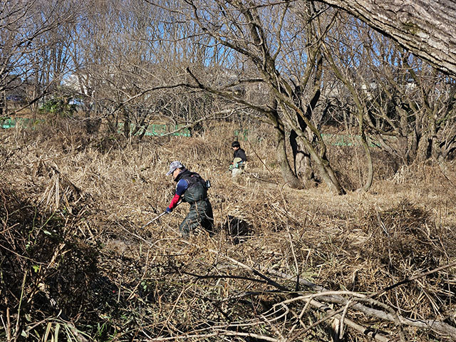 防火帯整備の様子