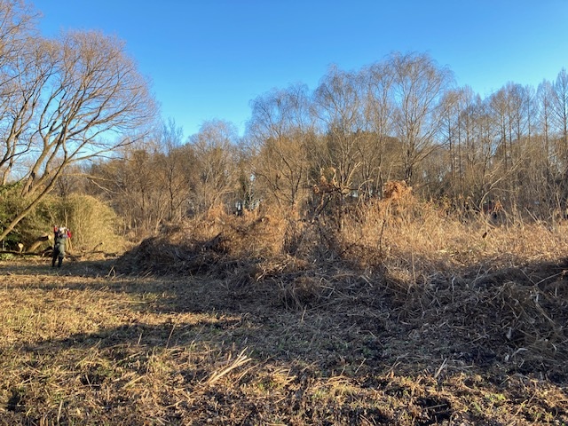 整備された防火帯