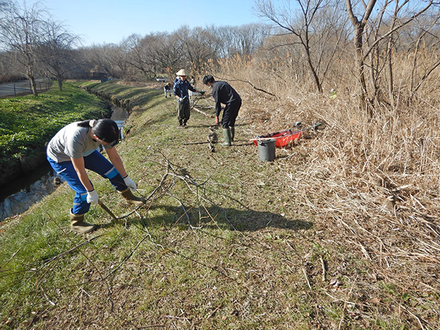 伐採木の解体の様子